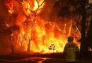 मेक्सिको के 19 प्रांतों में फैली जंगल की आग