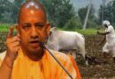 धान की सरकारी बिक्री के लिए 1.37 लाख किसानों ने कराया पंजीकरण